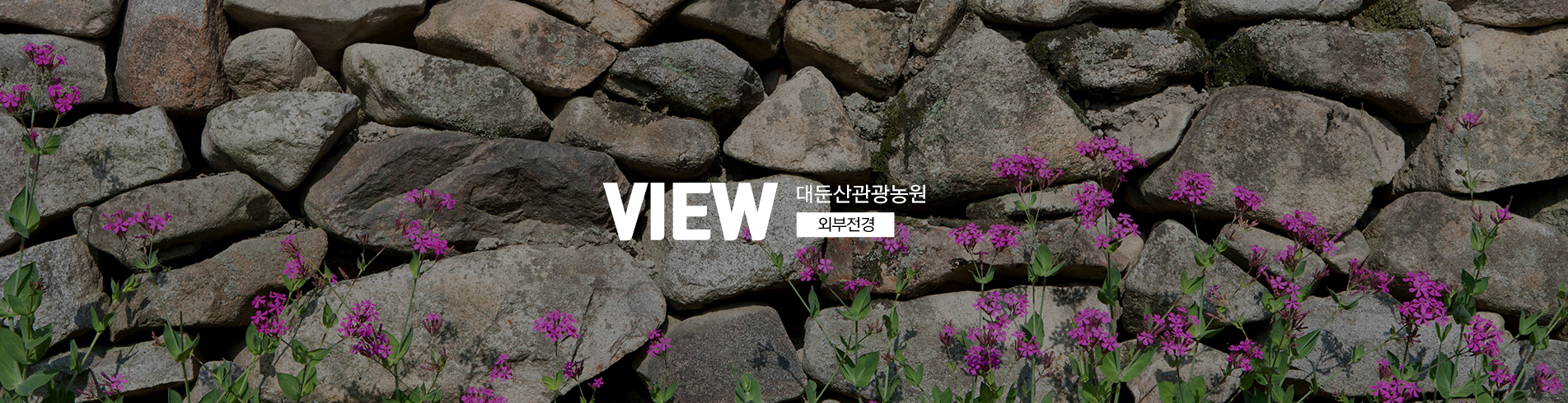 이미지명