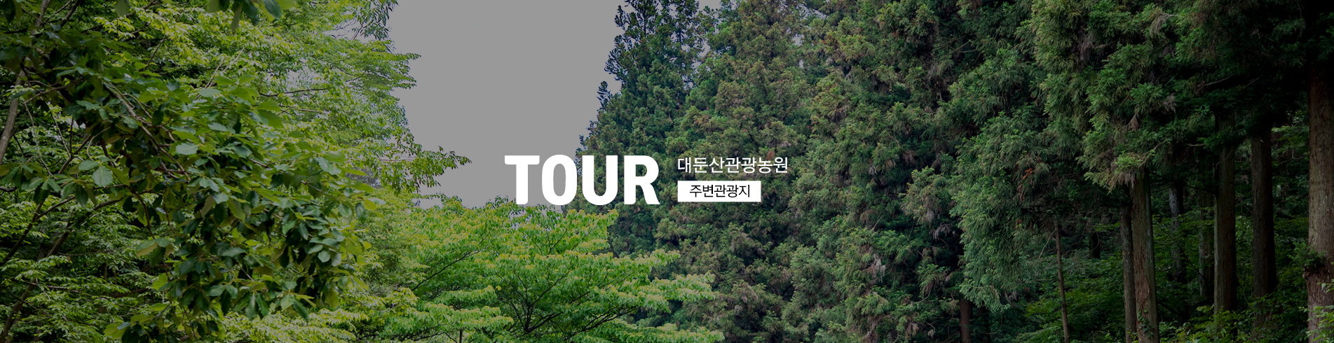 이미지명