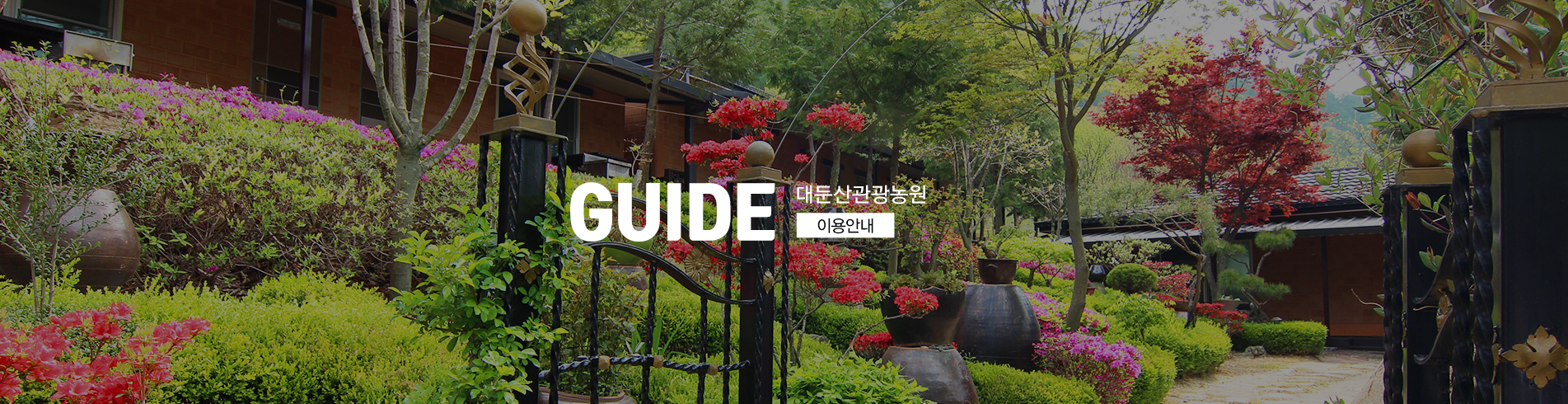 이미지명