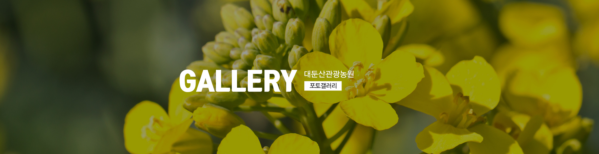 이미지명
