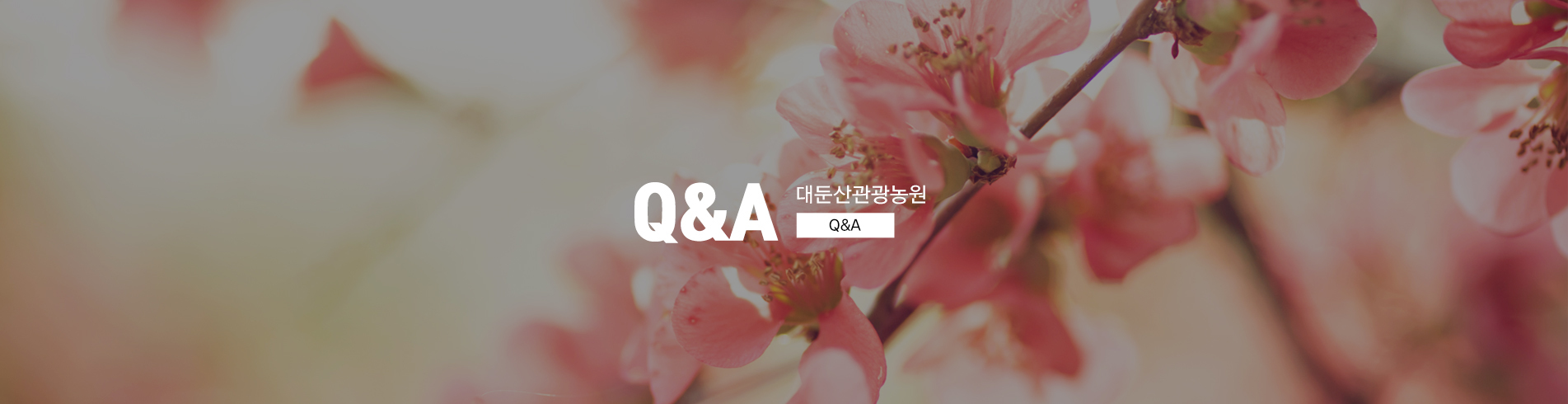 이미지명