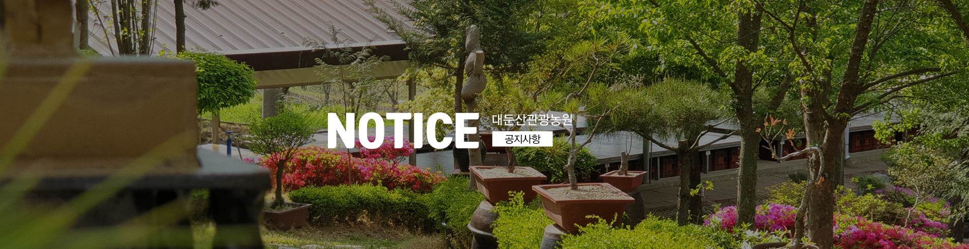 이미지명