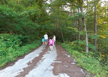 산책길