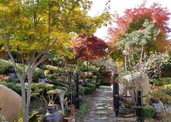 대둔산관광농원
