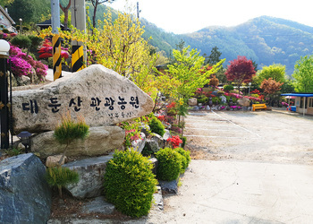 대둔산관광농원 외부전경