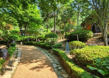 대둔산관광농원